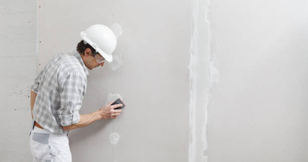 Best Fire-Damaged Drywall Repair  in Mcguire Af, NJ